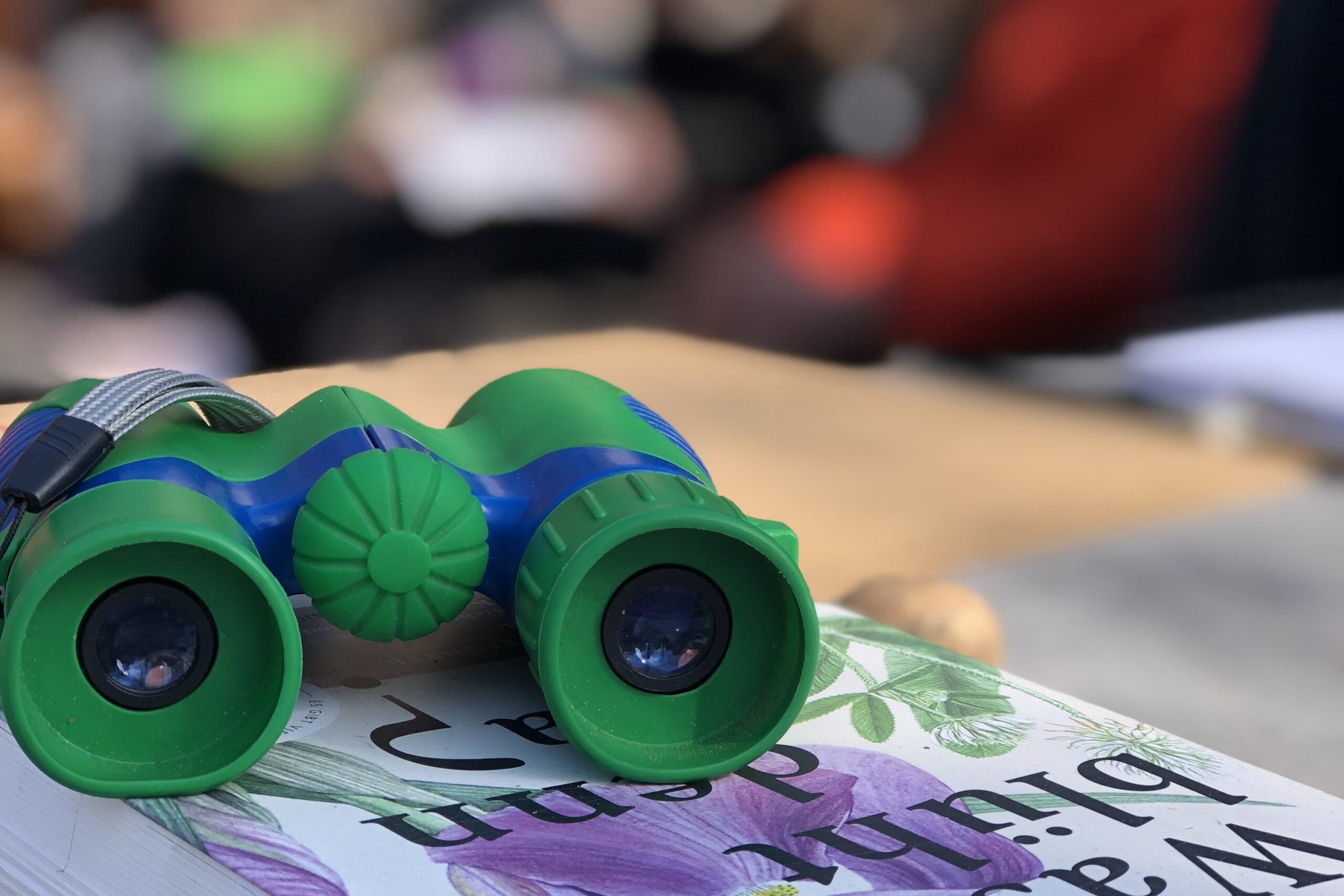 partizipation, service learning, beteiligung